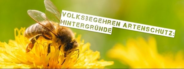 Ein Überblick zum Volksbegehren Artenschutz „Rettet die Bienen"